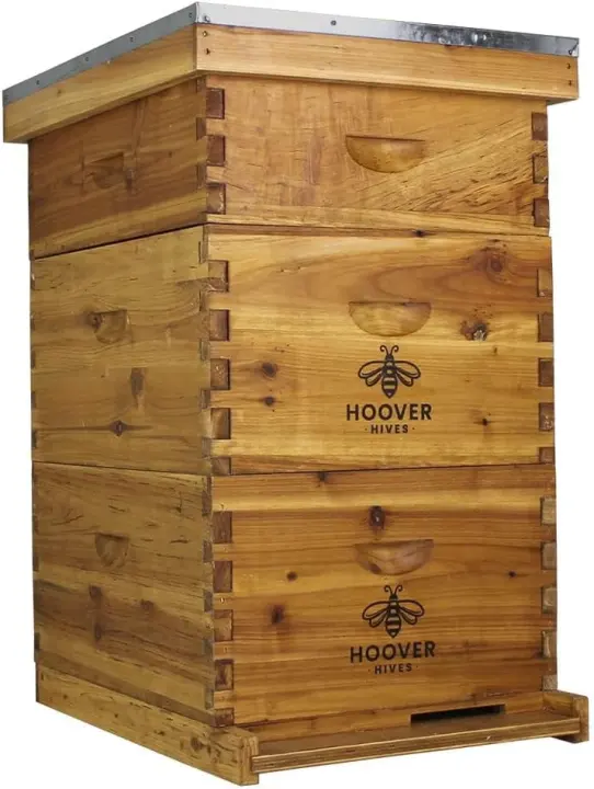 Beeswax-Coated Beehive Kit — 2 Deep + 1 Medium with 10 Frames